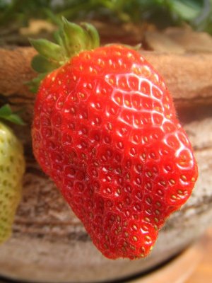 Strawberries