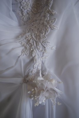 Gown Details