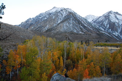Colors of the Eastern Sierras