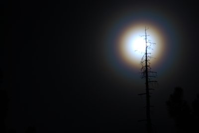 Full Moon with a Halo