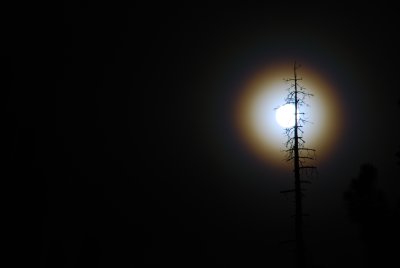Full Moon with a Halo