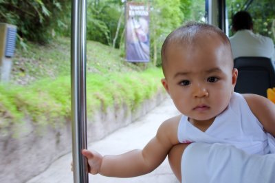Trip to the Zoo....