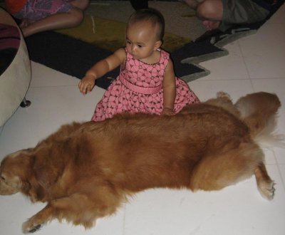 taming doggy.. good girl.