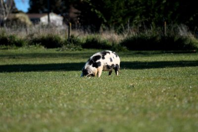 IMG_1629.jpg