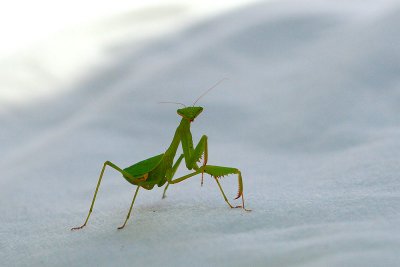 IMG_8661.jpg