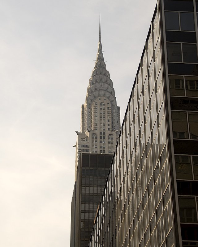 _DSC21764 Web8x10.jpg