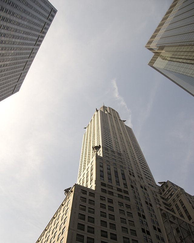 _DSC21782 Web8x10.jpg