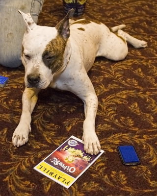 Buddy signing his autograph for his role as Bullseye