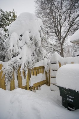 Saying there's too much snow on the garbage can to take the garbage out doesn't work. ;-)