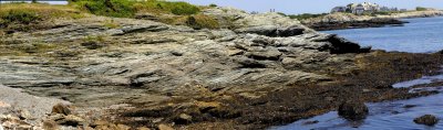 Wave Battered Rocks Pano