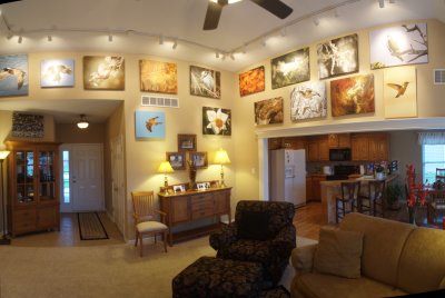 House Wall Gallery