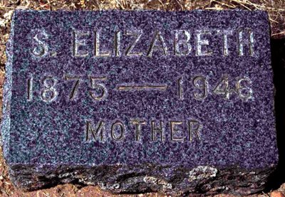 Sarah Elizabeth Miller was the eldest of nine children born to, Richard Perry Miller and his wife, Celestine [JOHNSON] Miller, born on 03 October 1875 in Prineville, Crook County, Oregon. In January of 1898 she married her 2nd cousin, William J. Stanton. James William Stanton and his wife, Sara  Elizabeth [MILLER] Stanton, shared one known child.