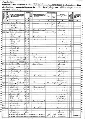 Above we can see a scanned image of the 1860 census of Brockway, St. Clair County, Michigan. To see the names more clearly, you'll probably need to save the image to your own computer and then enlarge to view.