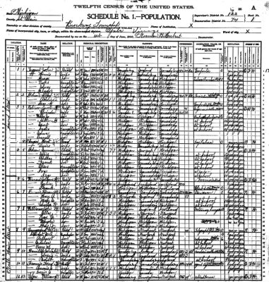 Above we can see a scanned image of the 1900 census of Brockway, St. Clair County, Michigan. To see the names more clearly, you'll probably need to save the image to your own computer and then enlarge to view.