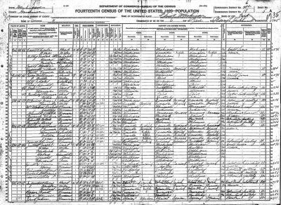 Above we can see a scanned image of the 1920 census of Brockway, St. Clair County, Michigan. To see the names more clearly, you'll probably need to save the image to your own computer and then enlarge to view.
