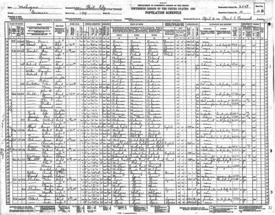 Above we can see a scanned image of the 1930 census of Brockway, St. Clair County, Michigan. To see the names more clearly, you'll probably need to save the image to your own computer and then enlarge to view.