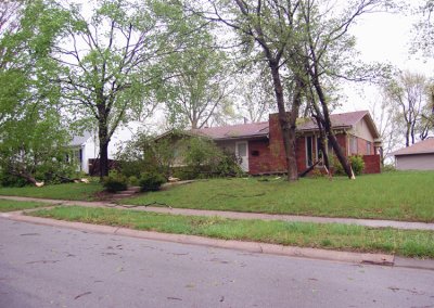 When compared to his neighbors. Then again, he still has all this tree mess in his yard.