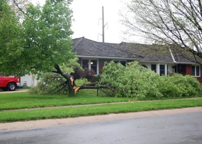 This guy lost his tree, but that was about it.