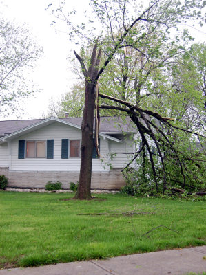 All that happened to this owner was a broken tree. Nothing in comparison to his neighbor's.