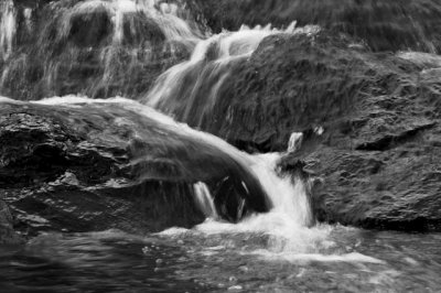 Simply Water