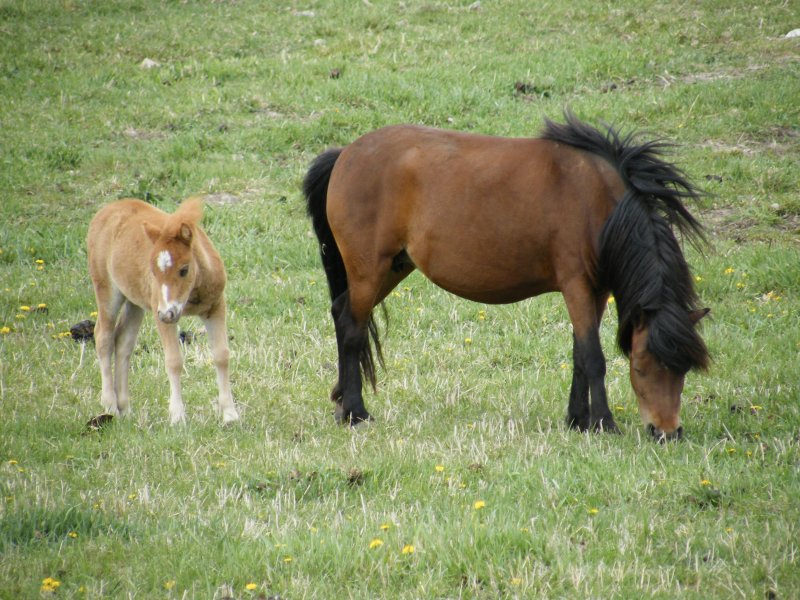 Little Guy with his Mom