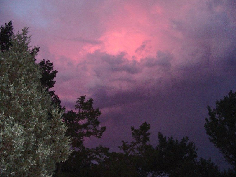 Upcoming Storm