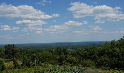 Another view from the Monticello Gardens
