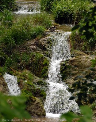 water