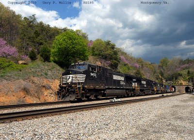 Spring color at Montgomery.jpg