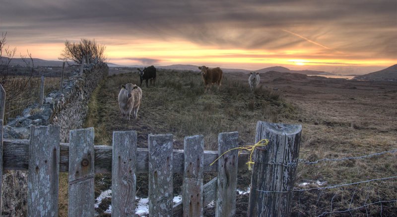 Connemara Sunset