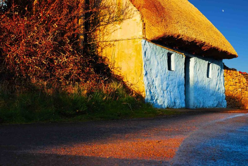 Blue Cottage