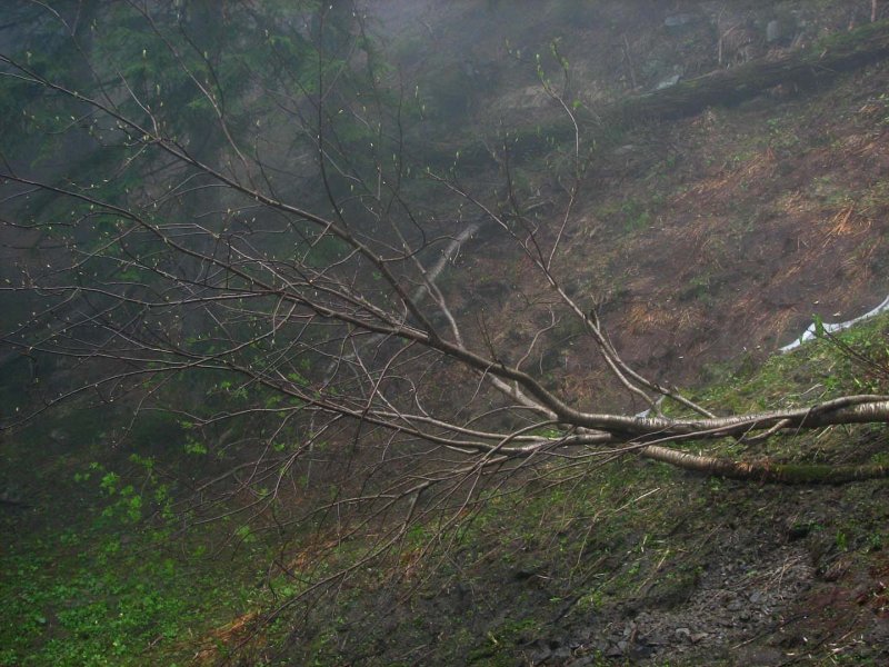 Old Wives or Witches Mountain02.jpg