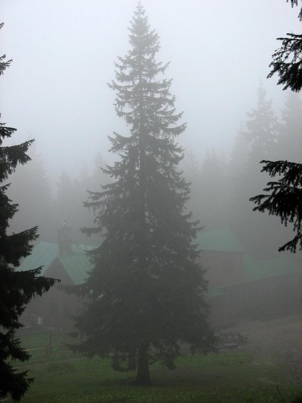 Old Wives or Witches Mountain04.jpg