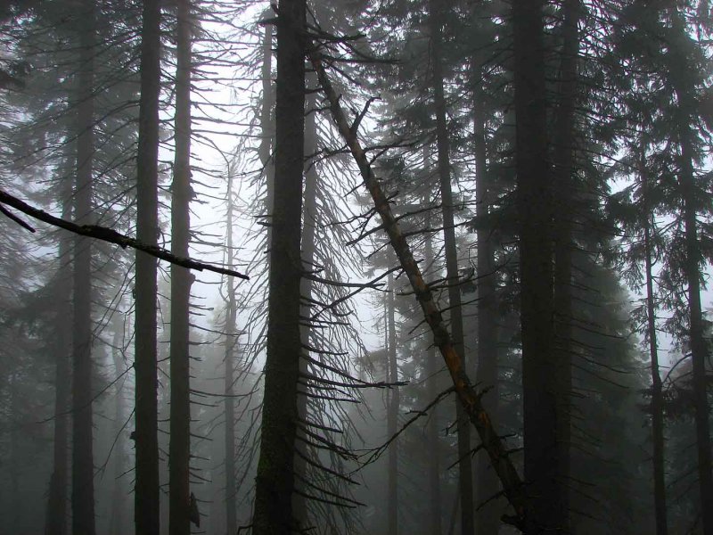 Old Wives or Witches Mountain06.jpg