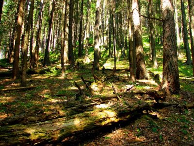 Tatra Mountains