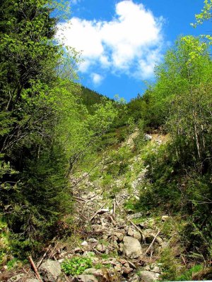 Tatra Mountains