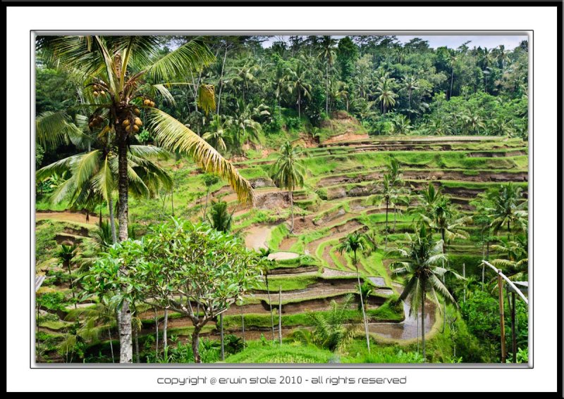 Bali 2006