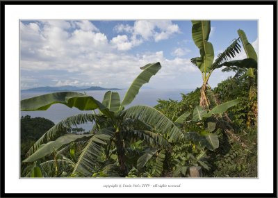 Tamaraw Falls, Mindoro, Philippines