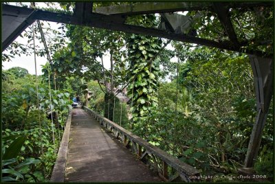 Ubud Town - old bridge