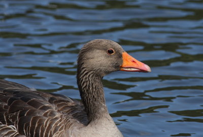 g3/18/865718/3/102032754.3ygKBd3e.jpg