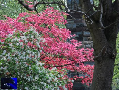 penn state: Obelisk 12