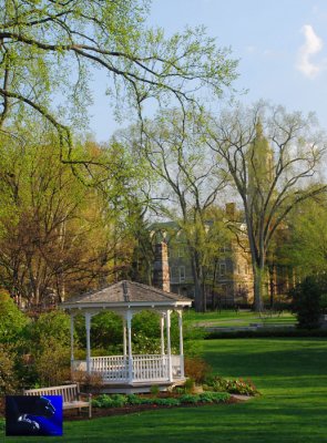 penn state: Alumni Center Park 34