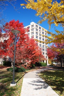 penn state: Oswald Tower 55