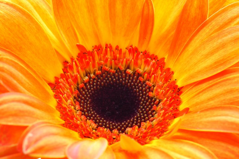 IMG_3944.JPG