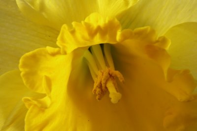IMG_3961.JPG