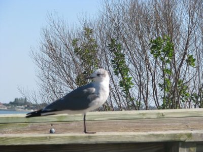tn_IMG_0040.JPG