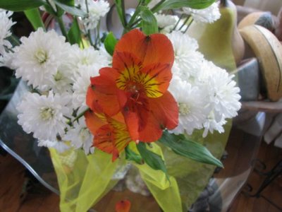 tn_IMG_0008.JPG