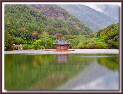 Lake View (Spring, Summer, Fall (Autumn), Winter... and Spring)