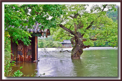 Temple Pathway (Spring, Summer, Fall (Autumn), Winter... and Spring)