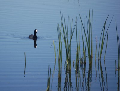 birthday_swamp_walk_